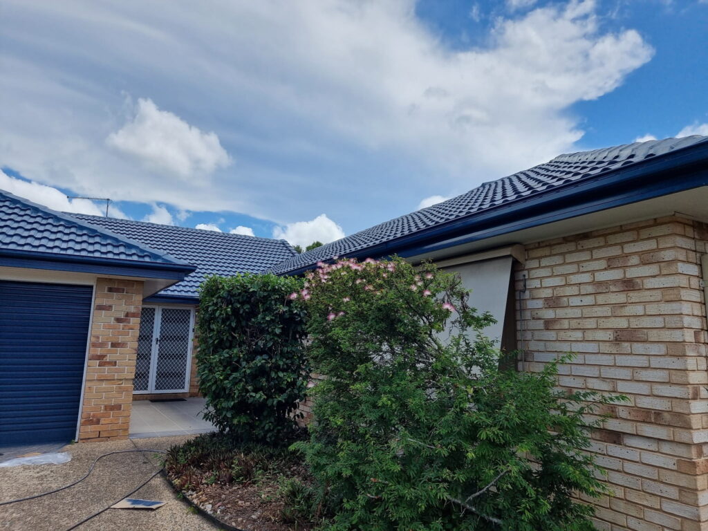Fascia Painting Gutter Painting