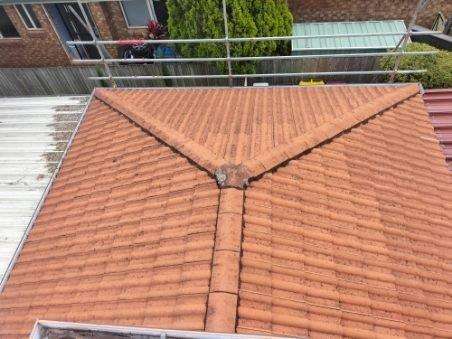 Moggill Woodland Grey Tiled Roof Restorations