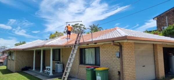 roof painbting