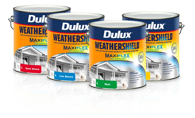 Exterior Painting, Cladding, Roof, Fascia Gutter and Garage Doors